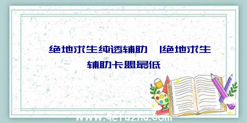 「绝地求生纯透辅助」|绝地求生辅助卡盟最低